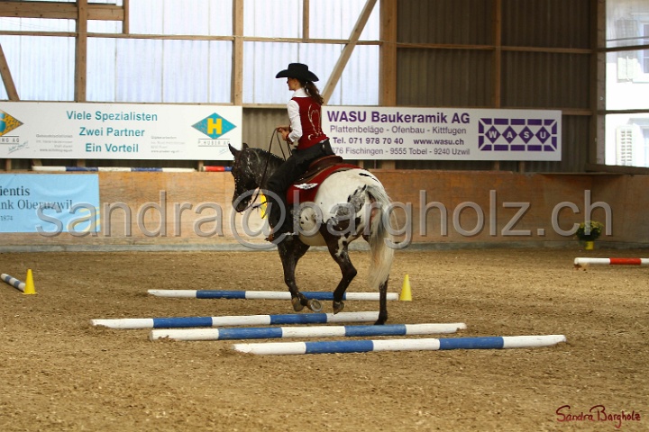 26-ApHC GT_007.jpg